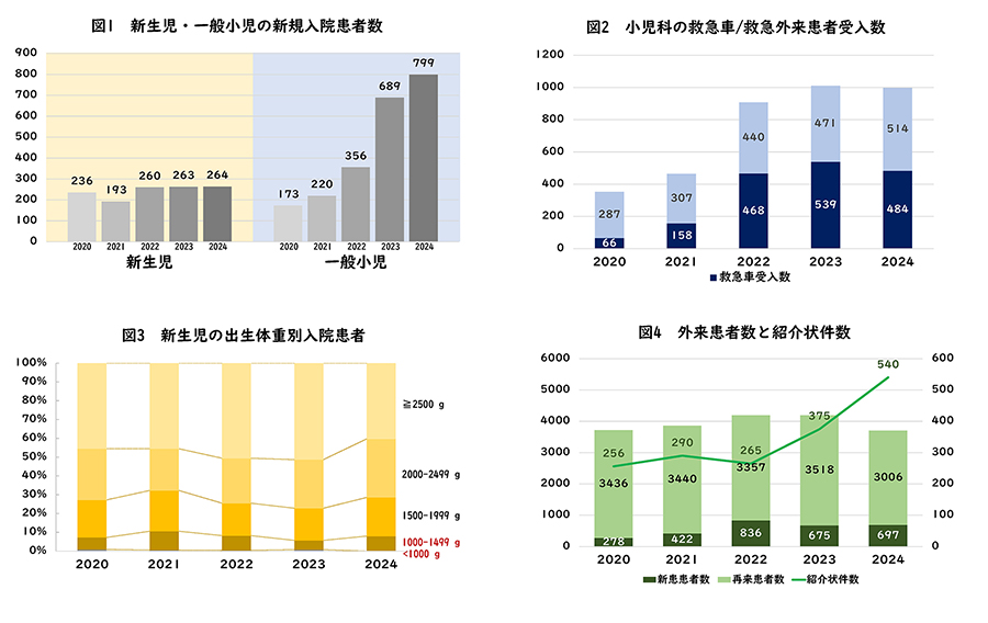 診療実績
